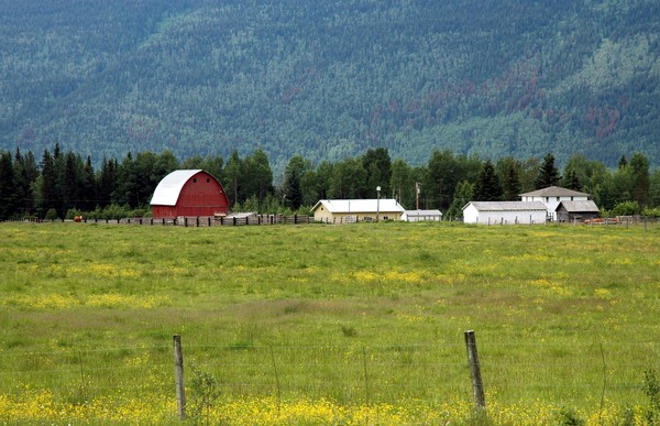 Farm